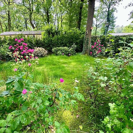 Vakantie Veluwe ワーゲニンゲン エクステリア 写真