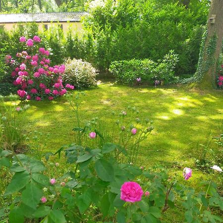 Vakantie Veluwe ワーゲニンゲン エクステリア 写真