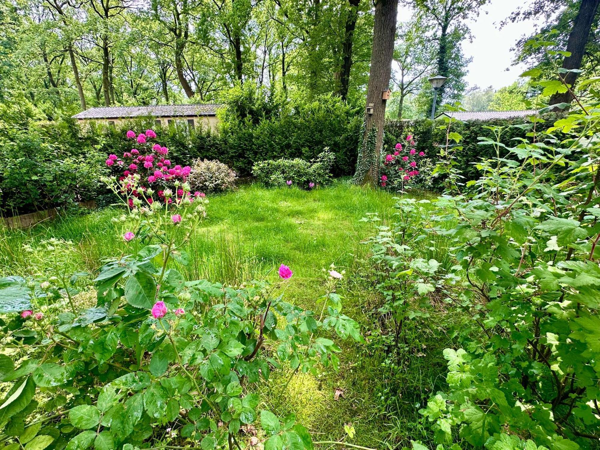 Vakantie Veluwe ワーゲニンゲン エクステリア 写真