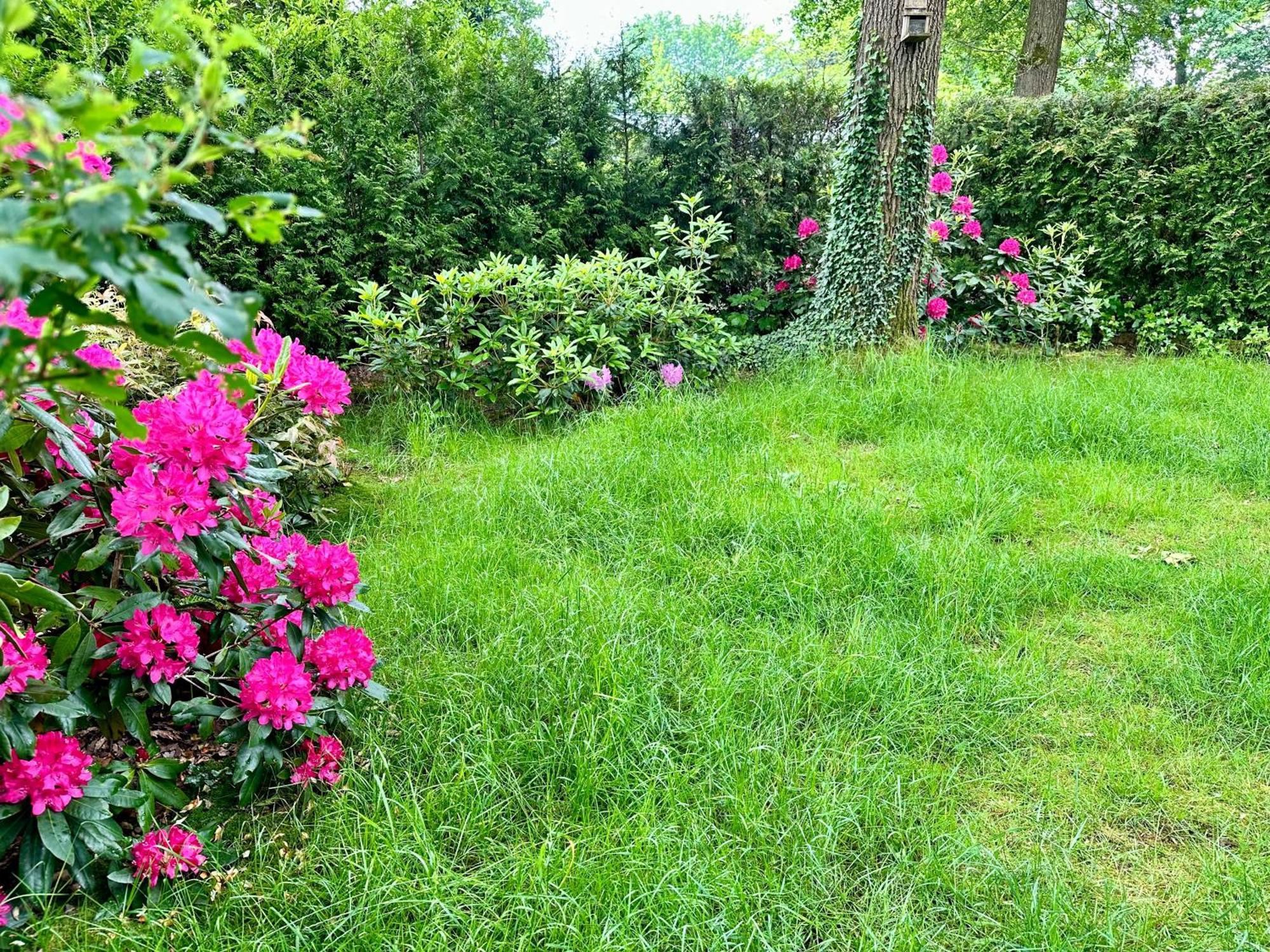 Vakantie Veluwe ワーゲニンゲン エクステリア 写真