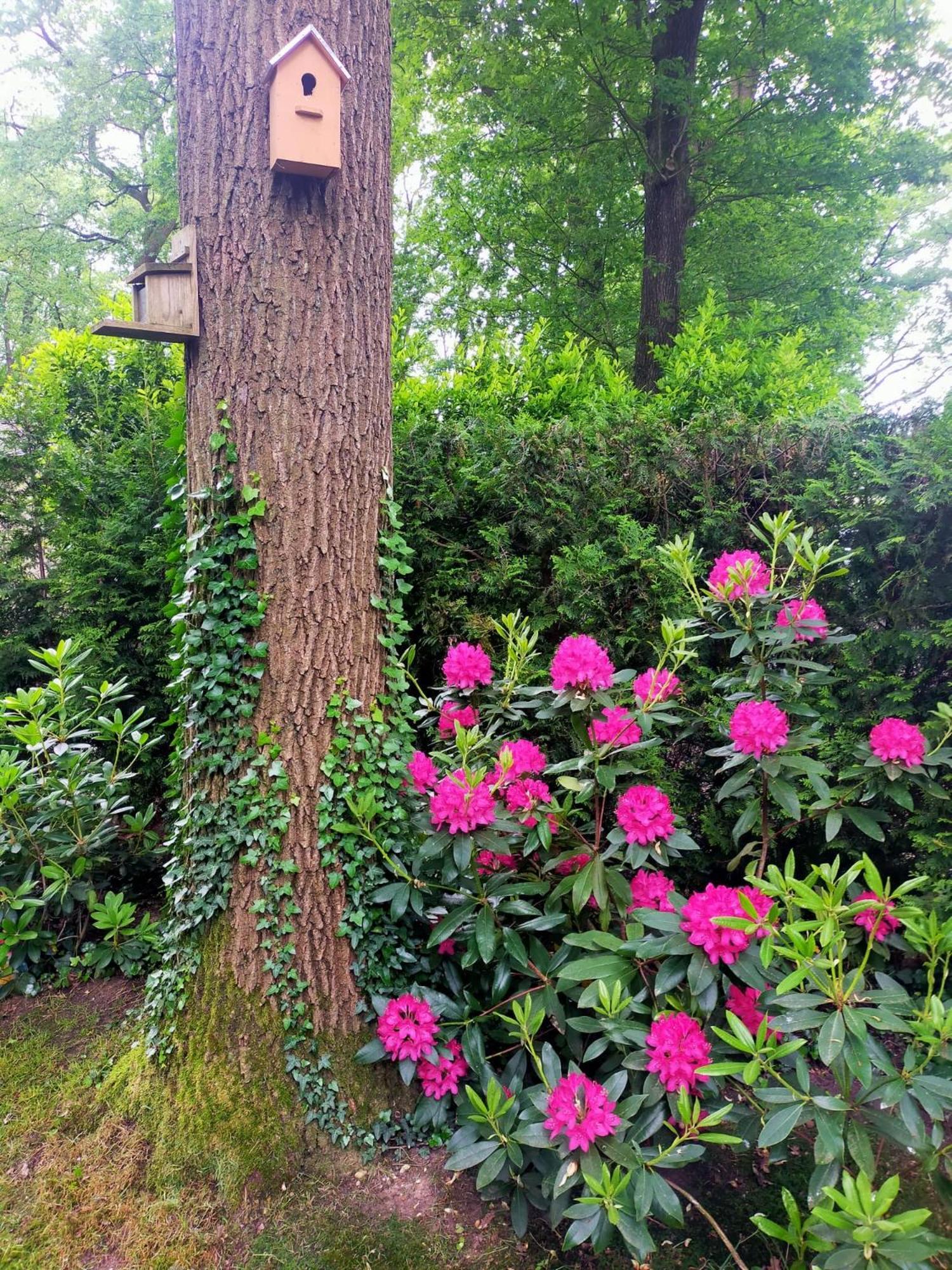 Vakantie Veluwe ワーゲニンゲン エクステリア 写真